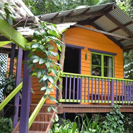 Rainforest Hideaway Cape Tribulation Exteriér fotografie