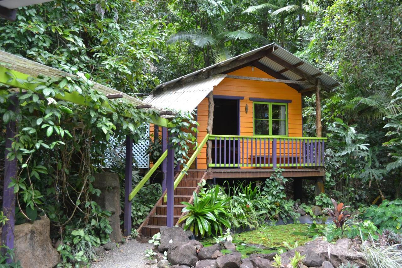 Rainforest Hideaway Cape Tribulation Exteriér fotografie