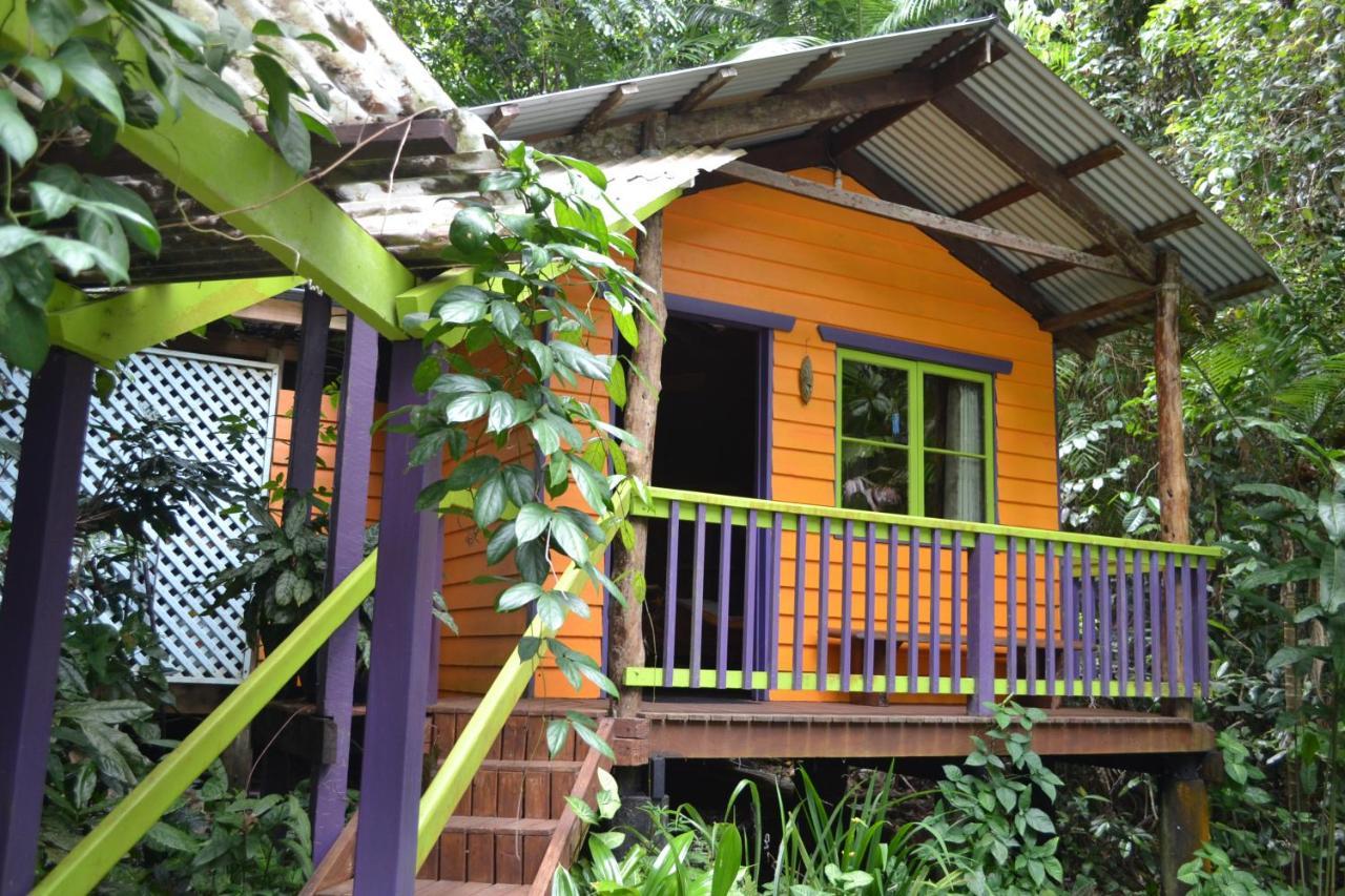 Rainforest Hideaway Cape Tribulation Exteriér fotografie