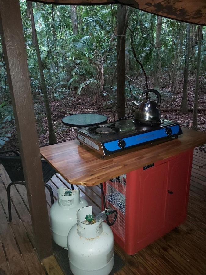 Rainforest Hideaway Cape Tribulation Exteriér fotografie