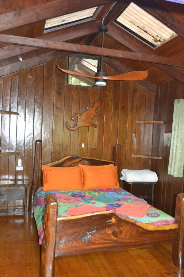 Rainforest Hideaway Cape Tribulation Exteriér fotografie