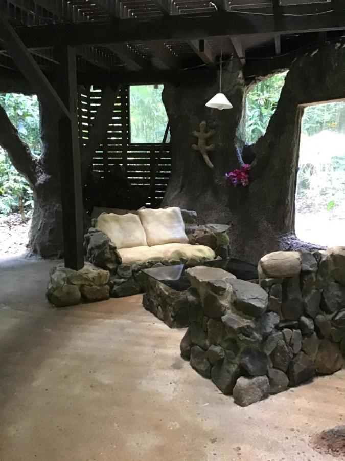 Rainforest Hideaway Cape Tribulation Exteriér fotografie