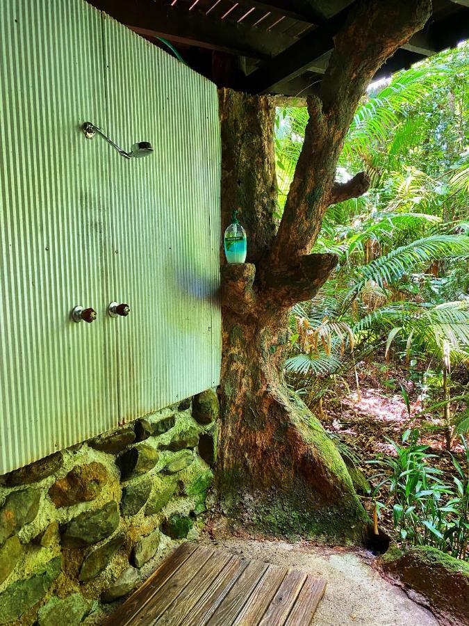 Rainforest Hideaway Cape Tribulation Exteriér fotografie