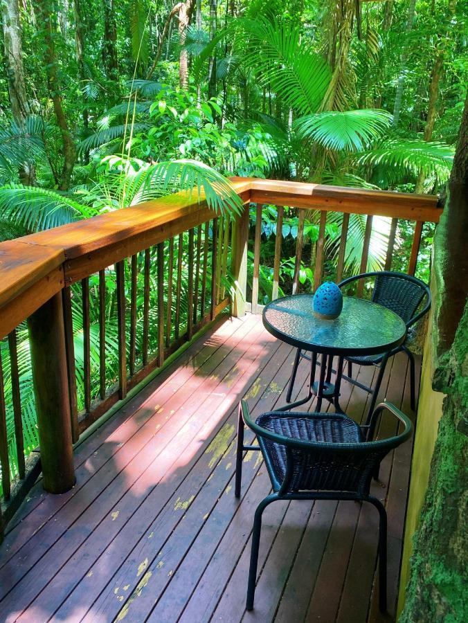 Rainforest Hideaway Cape Tribulation Exteriér fotografie