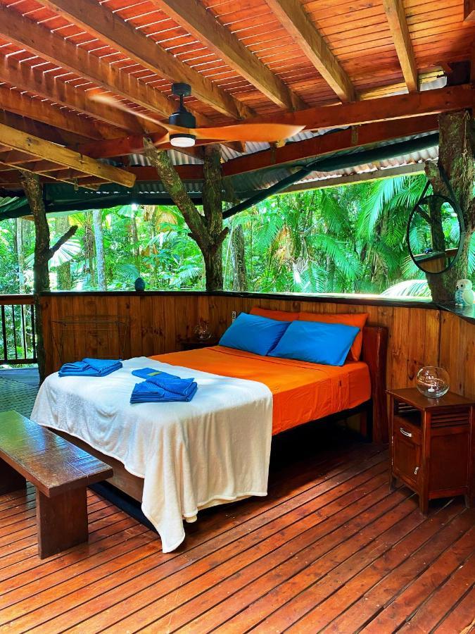 Rainforest Hideaway Cape Tribulation Exteriér fotografie