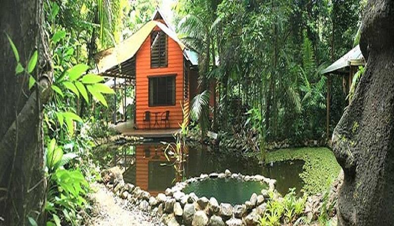 Rainforest Hideaway Cape Tribulation Pokoj fotografie