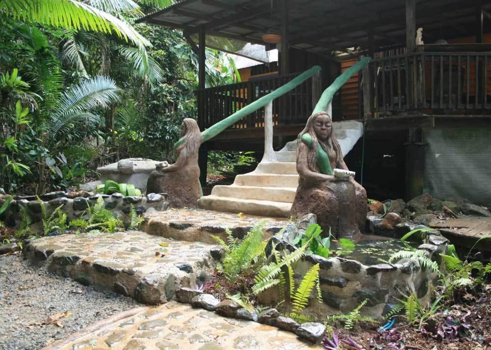 Rainforest Hideaway Cape Tribulation Exteriér fotografie