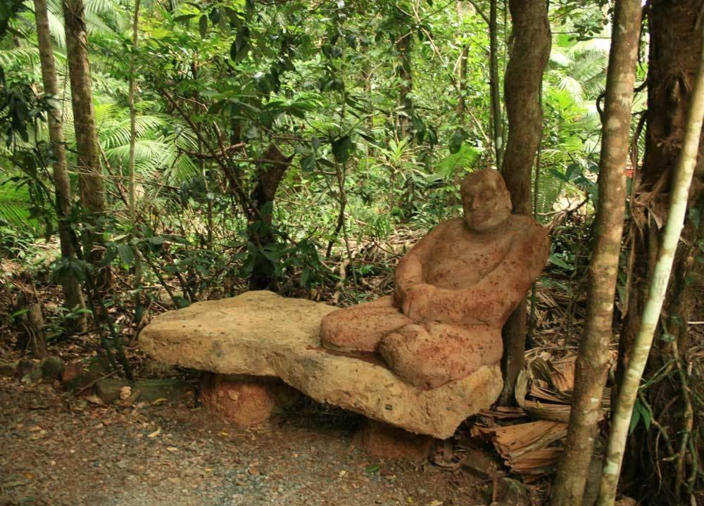 Rainforest Hideaway Cape Tribulation Exteriér fotografie