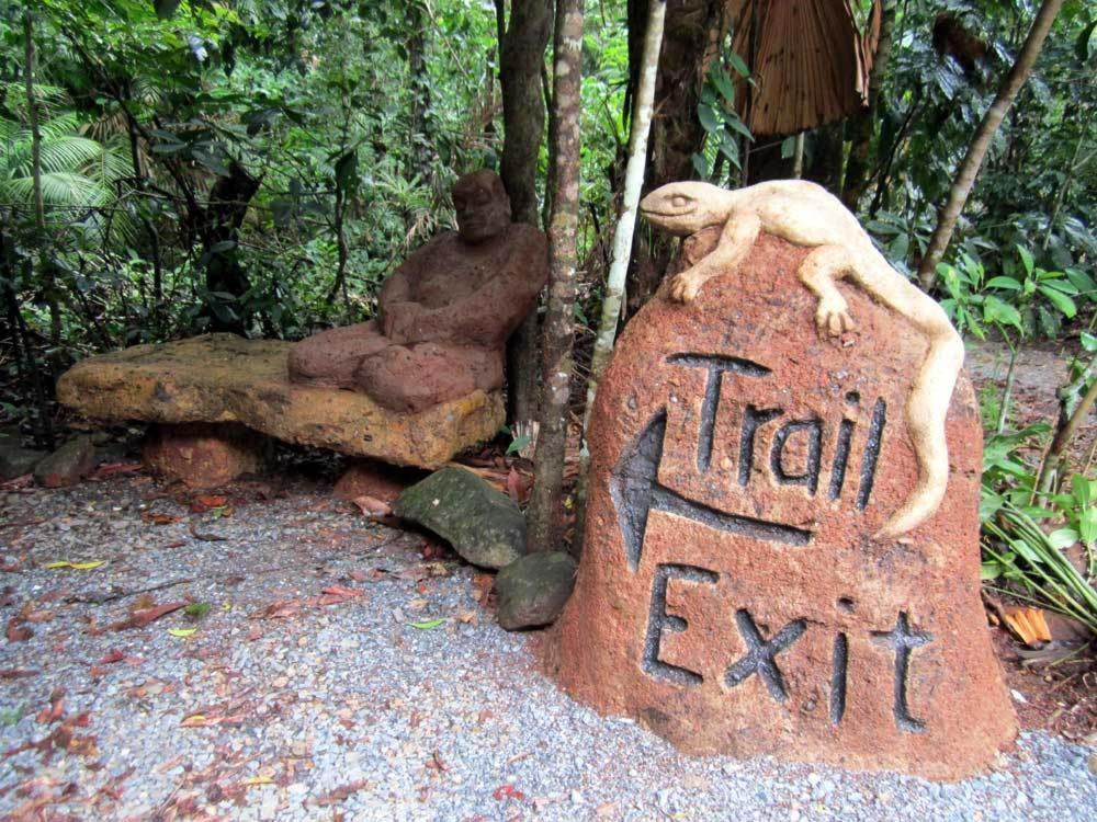 Rainforest Hideaway Cape Tribulation Exteriér fotografie