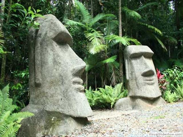 Rainforest Hideaway Cape Tribulation Exteriér fotografie