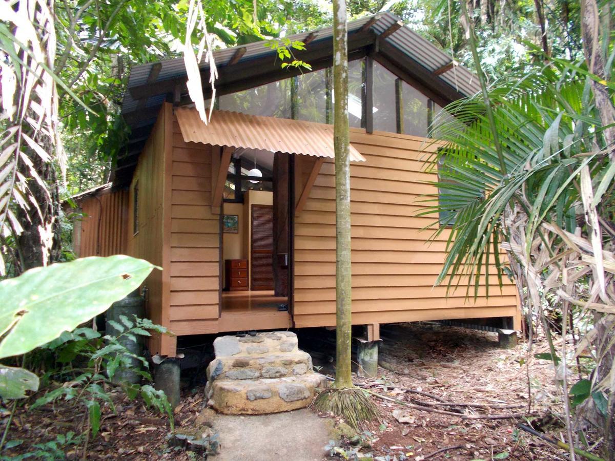 Rainforest Hideaway Cape Tribulation Exteriér fotografie