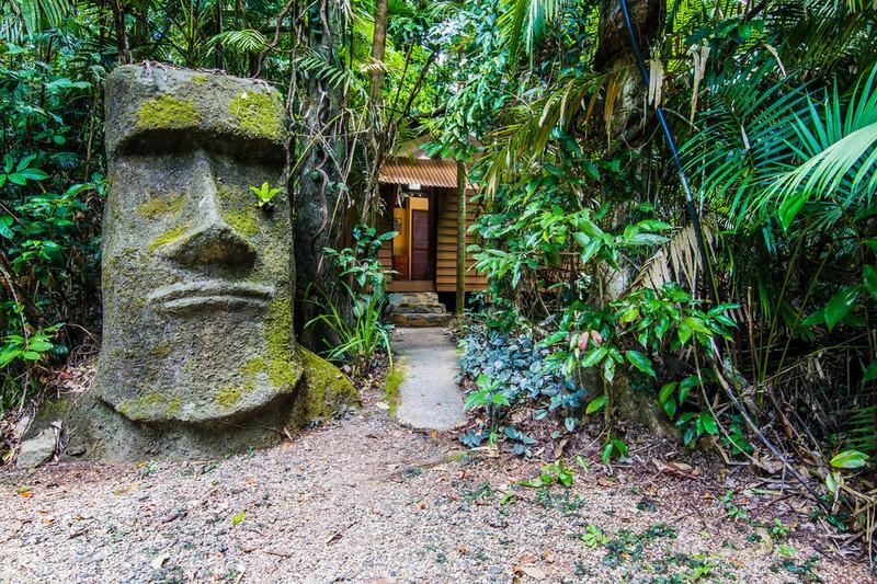 Rainforest Hideaway Cape Tribulation Exteriér fotografie